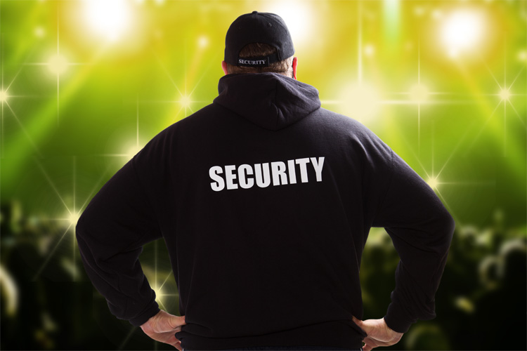 What All Businesses Require The Services Of Armed Security Guards?